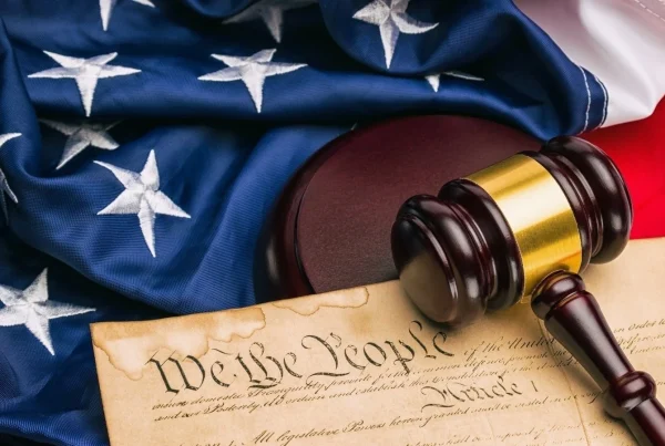 The Promise Of America book